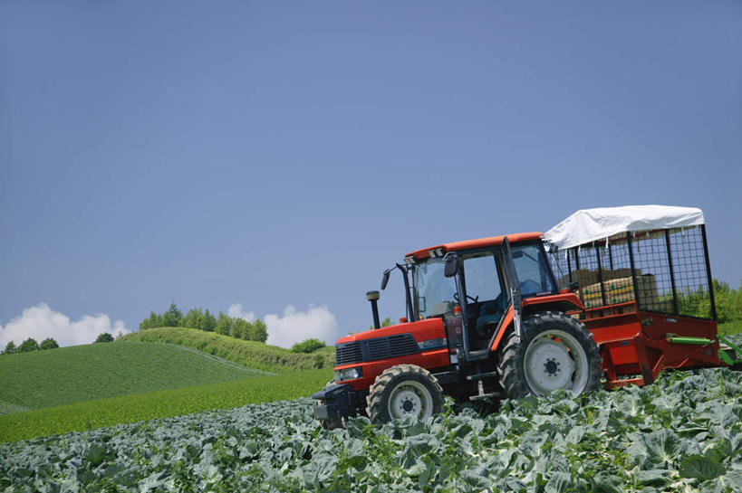 无人,农田,横图,室外,白天,正面,旅游,度假,庄稼,农作物,草地,草坪,美景,植物,北海道,日本,亚洲,阴影,光线,影子,景观,娱乐,草,蓝色,绿色,蓝天,天空,阳光,自然,天,享受,休闲,景色,放松,晴朗,自然风光,收割机,东亚,万里无云,联合收割机,日本国,北海道地方,北海道岛,晴空,晴空万里,彩图,耕地,庄稼田