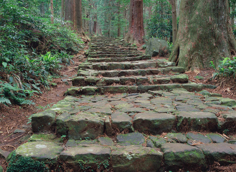 无人,横图,室外,白天,正面,旅游,度假,美景,森林,树林,植物,楼梯,道路,路,日本,亚洲,阶梯,景观,小路,交通,娱乐,台阶,树,树木,绿色,自然,享受,休闲,景色,放松,生长,成长,自然风光,东亚,本州,本州岛,日本国,近畿地方,近畿,和歌山,和歌山县,彩图