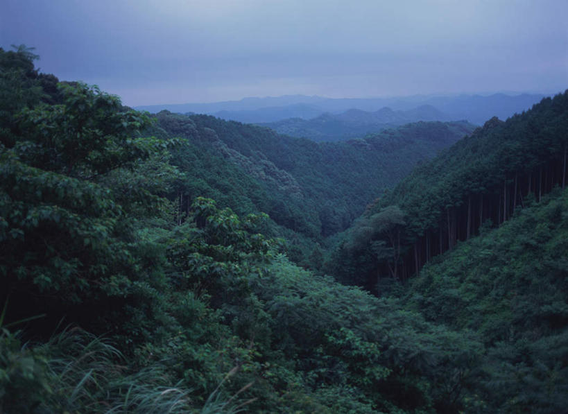 无人,横图,俯视,室外,白天,旅游,度假,美景,森林,山,树林,植物,日本,亚洲,景观,山峰,山峦,娱乐,树,树木,绿色,自然,享受,休闲,景色,放松,生长,成长,自然风光,东亚,本州,本州岛,日本国,近畿地方,近畿,和歌山,和歌山县,彩图,高角度拍摄