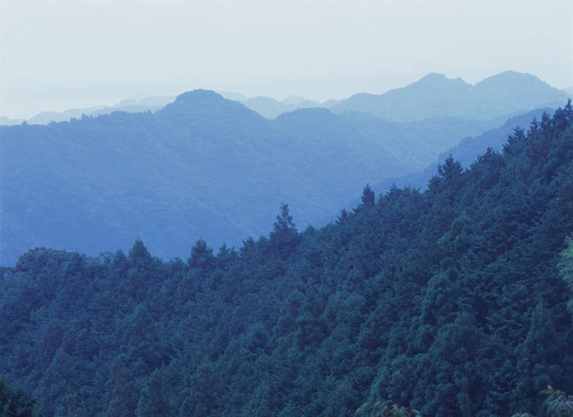 无人,横图,俯视,室外,白天,旅游,度假,美景,森林,山,树林,植物,日本,亚洲,景观,山峰,山峦,娱乐,树,树木,绿色,自然,享受,休闲,景色,放松,生长,成长,自然风光,东亚,本州,本州岛,日本国,近畿地方,近畿,和歌山,和歌山县,彩图,高角度拍摄