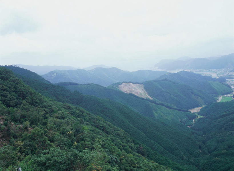 无人,横图,俯视,室外,白天,旅游,度假,美景,森林,山,树林,植物,日本,亚洲,景观,山峰,山峦,娱乐,树,树木,绿色,自然,享受,休闲,景色,放松,生长,成长,自然风光,东亚,本州,本州岛,日本国,近畿地方,近畿,和歌山,和歌山县,彩图,高角度拍摄