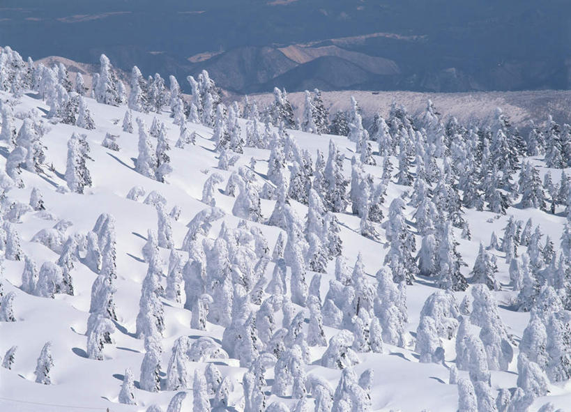 无人,横图,室外,白天,正面,旅游,度假,美景,森林,山,树林,植物,日本,亚洲,景观,山峰,山峦,娱乐,树,树木,绿色,自然,享受,休闲,景色,放松,生长,成长,自然风光,东亚,本州,本州岛,日本国,东北地方,山形,山形县,彩图
