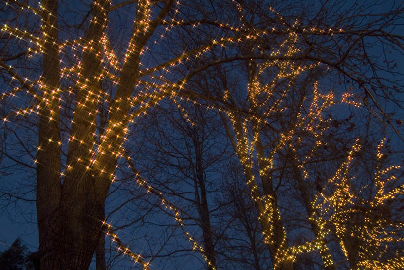 无人,横图,室外,夜晚,仰视,植物,照明,圣诞节,悬挂,节日,庆祝,装饰,彩灯,灯光,文化,灯,装饰品,树,树木,蓝色,蓝天,天空,自然,装饰物,工艺品,灯具,天,庆典,花灯,生长,成长,纪念,华丽,修饰,明亮,照亮,点缀,照明设备,饰物,装饰灯,衬托,美观,雅致,雅观,彩图,低角度拍摄