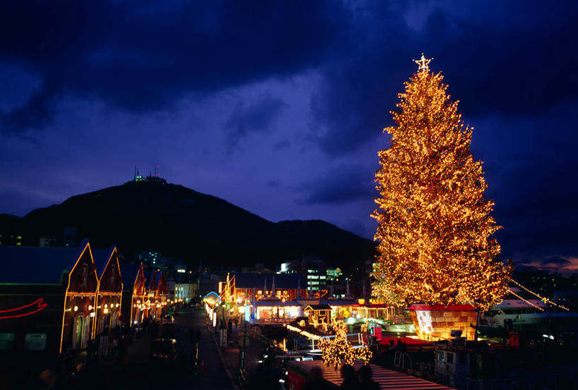 无人,横图,彩色,室外,夜晚,正面,旅游,度假,植物,城市,建筑,霓虹灯,夜景,日本,亚洲,灯光,圣诞树,七彩,都市,娱乐,光源,冲绳,霓虹,灯,树,树木,蓝色,绿色,蓝天,天空,自然,天,享受,休闲,旅游胜地,放松,生长,成长,冲绳县,照明设备,东亚,琉球群岛,日本国,九州地方,氖灯,冲绳群岛,北谷町,彩图