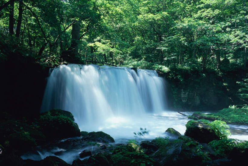 无人,横图,室外,白天,正面,旅游,度假,石头,美景,瀑布,树林,水,植物,叶子,日本,亚洲,阴影,飞溅,溅,光线,石子,液体,影子,草丛,景观,娱乐,花,花瓣,花朵,鲜花,树,树木,绿色,阳光,自然,享受,休闲,景色,放松,生长,成长,宁静,喷洒,自然风光,东亚,本州,本州岛,日本国,青森,青森县,东北地方,奥入濑町,奥入濑溪流,跌水,石块,岩石,彩图