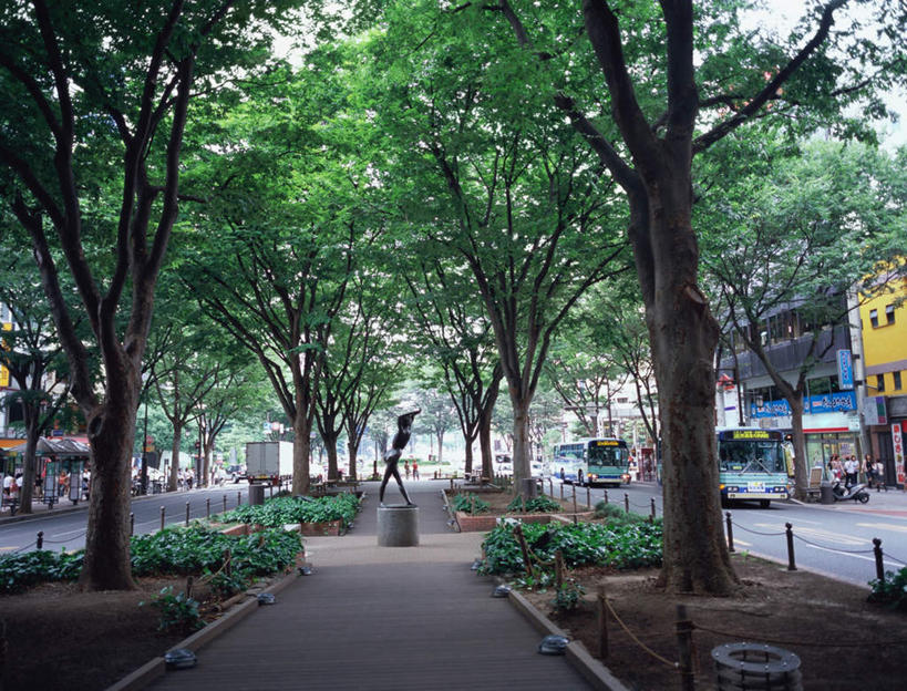 无人,商店,横图,室外,白天,正面,度假,花圃,美景,植物,城市风光,超市,城市,汽车,叶子,仙台,日本,亚洲,阴影,光线,影子,景观,花蕾,娱乐,车,花,花朵,鲜花,树,树木,绿色,阳光,自然,交通工具,轿车,花丛,花束,享受,休闲,景色,放松,金融,百货,生长,成长,贸易,百货公司,东亚,本州,本州岛,日本国,宫城,仙台市,宫城县,东北地方,县厅,彩图,店铺,购物商场,购物中心,商业中心,杂货店,杂货铺