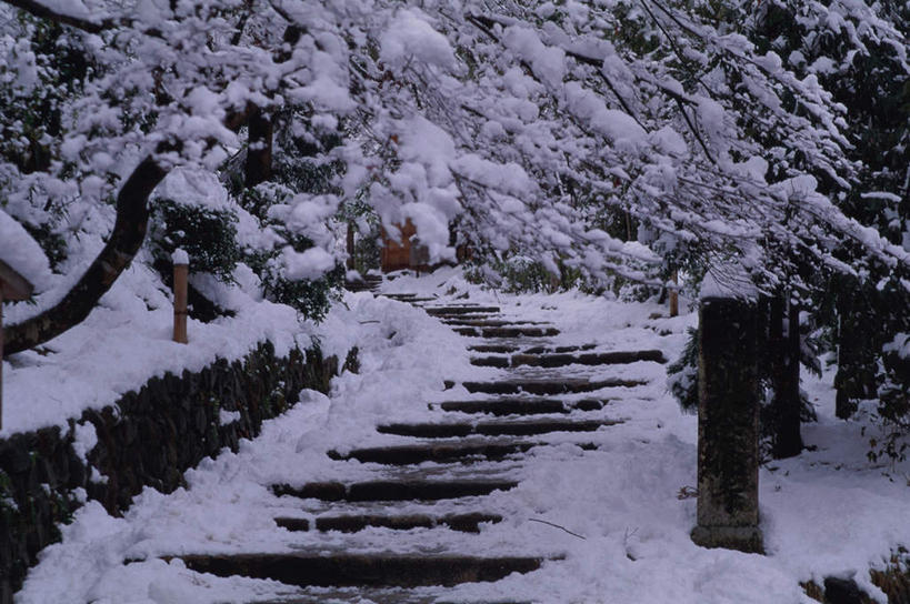 无人,寺庙,横图,室外,白天,正面,旅游,度假,名胜古迹,树林,雪,植物,大雪,楼梯,标志建筑,地标,建筑,京都,日本,亚洲,节日,遗迹,柱子,阶梯,积雪,雪景,冬季,冬天,下雪,寒冬,古迹,文化,文物,娱乐,建设,古建筑,木柱,台阶,树,树木,自然,庙宇,祈祷,享受,休闲,健康,石阶,旅游胜地,放松,寒冷,许愿,宗教,佛教,信仰,京都府,纪念,祈求,冰冷,古文明,东亚,本州,本州岛,日本国,近畿地方,近畿,严寒,冰凉,酷寒,凛冽,凛凛,极冷,释教,化野念仏寺,右京区,平安,彩图,庙,寺