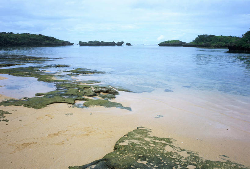 无人,横图,室外,白天,正面,旅游,度假,海浪,海洋,美景,森林,沙滩,树林,植物,日本,亚洲,沙子,海岸,景观,浪花,沙地,娱乐,冲绳,树,树木,绿色,自然,海水,享受,休闲,景色,放松,生长,成长,冲绳县,自然风光,海景,东亚,琉球群岛,日本国,九州地方,八重山群岛,西表岛,大海,风浪,海,海水的波动,海滩,近岸浪,涌浪,彩图