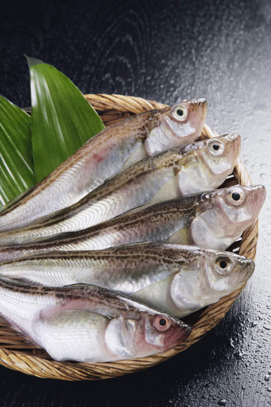 海鲜,无人,交叉,竖图,俯视,室内,特写,白天,竹子,叶子,一排,阴影,黑色背景,竹制,整齐,装饰,编织,光线,鱼,篮子,影子,绿叶,水产,鱼类,海洋生物,排列,竹篮,嫩叶,摄影,影棚,竹条,华丽,修饰,交织,点缀,竹制品,队列,水生动物,海产品,水生物,海底动物,衬托,美观,雅致,雅观,穿插,叶,叶片,沙鱼,彩图,高角度拍摄,影棚拍摄,拍摄