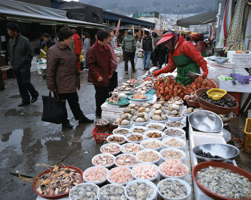 海鲜,东方人,站,横图,室外,白天,正面,旅游,度假,贝壳,帽子,釜山,韩国,亚洲,一排,戴,服装,整齐,许多人,注视,休闲装,黄种人,娱乐,运动帽,水产,排列,衣服,碗,观察,看,站着,一群人,享受,休闲,休闲服,鸭舌帽,放松,服饰,观看,戴着,察看,队列,关注,海产品,蚌,东亚,大韩民国,釜山市,釜山广域市,广域市,巨蚌,巨蛤,男人,男性,女人,女性,中年男性,中年女性,亚洲人,贝类外壳,软体动物外壳,站立,彩图,全身