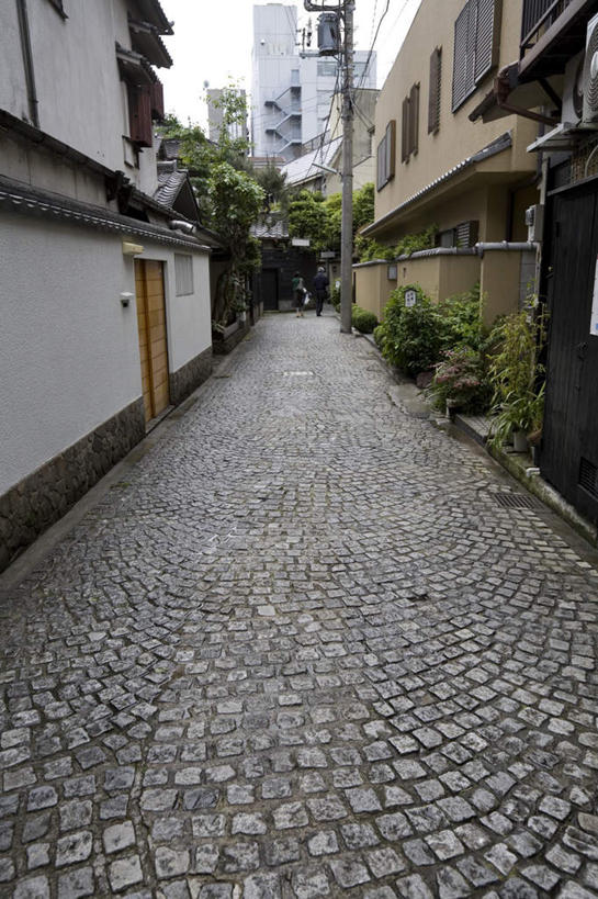 无人,家,竖图,室外,白天,正面,旅游,度假,植物,道路,路,东京,日本,亚洲,阴影,电力,光线,电线,线,影子,房屋,屋子,小路,电能,交通,新宿,线路,娱乐,楼房,住宅,树,树木,绿色,阳光,自然,享受,休闲,放松,生长,成长,电,电源,电源线,能量,东亚,本州,关东地方,本州岛,日本国,东京都,新宿区,县厅,东京市,神乐坂,彩图,房子