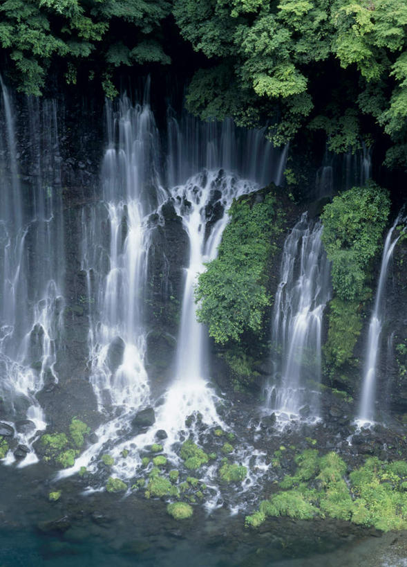 无人,竖图,室外,白天,正面,旅游,度假,草地,草坪,美景,瀑布,水,植物,静冈县,日本,亚洲,飞溅,溅,液体,景观,娱乐,草,树,树木,绿色,自然,享受,休闲,景色,放松,生长,成长,喷洒,自然风光,东亚,本州,本州岛,日本国,中部地方,静冈,富士宫,跌水,彩图