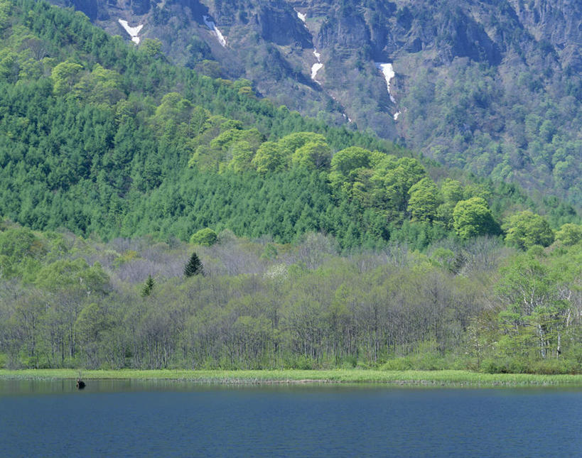 无人,横图,室外,白天,正面,旅游,度假,湖,湖泊,美景,森林,山,山脉,树林,水,植物,长野县,日本,亚洲,湖面,景观,山峰,水流,水面,山峦,娱乐,树,树木,绿色,自然,湖水,群山,享受,休闲,景色,放松,生长,成长,自然风光,东亚,本州,本州岛,日本国,中部地方,长野,冈谷,彩图