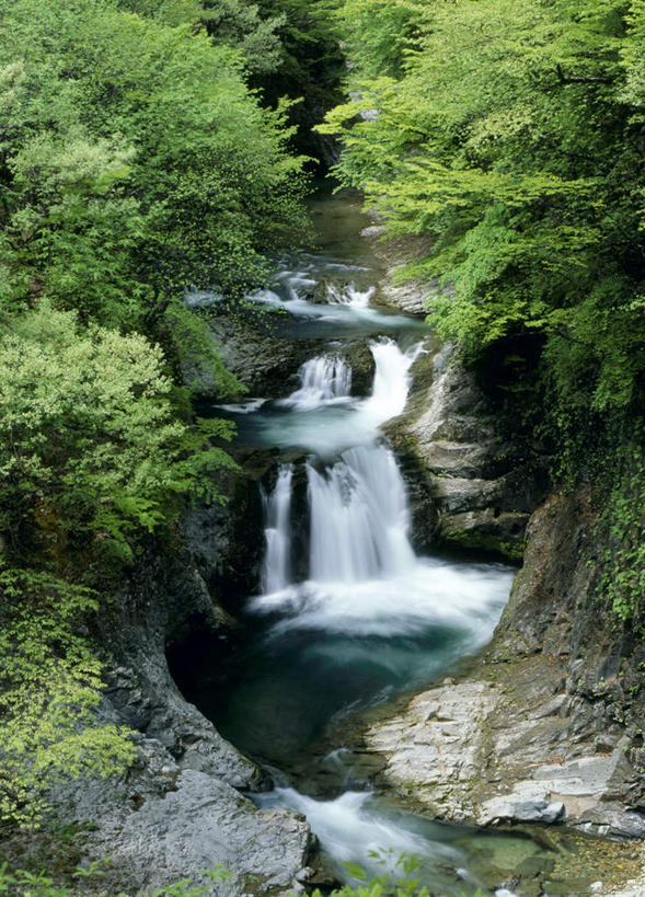 无人,竖图,室外,白天,正面,旅游,度假,河流,石头,美景,瀑布,水,叶子,仙台,日本,亚洲,飞溅,溅,石子,液体,河水,景观,水滴,水流,绿叶,娱乐,水珠,小溪,自然,溪水,享受,休闲,嫩叶,景色,放松,喷洒,自然风光,东亚,本州,本州岛,日本国,宫城,仙台市,宫城县,东北地方,县厅,叶,叶片,跌水,石块,岩石,彩图