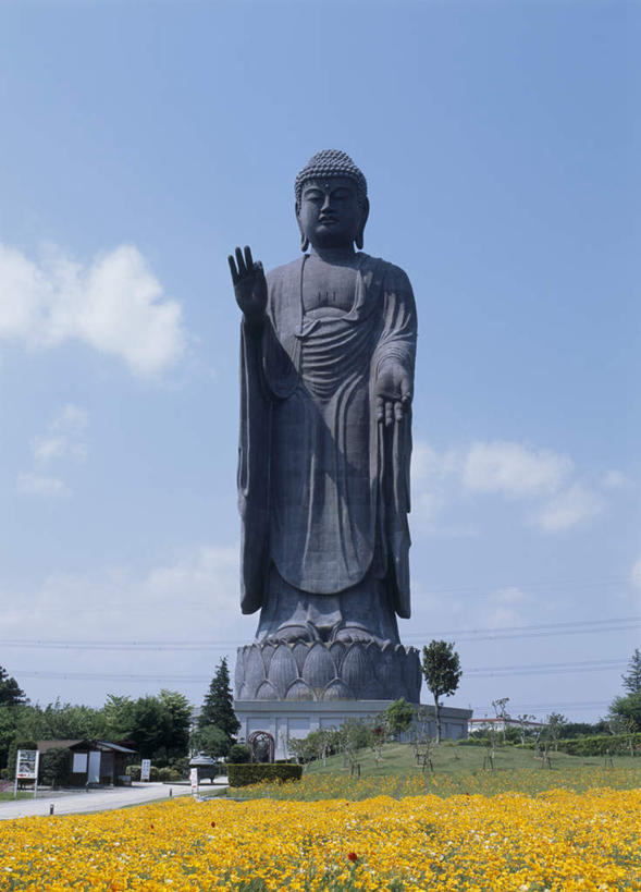 无人,举,竖图,室外,白天,正面,旅游,度假,花海,花圃,美景,罂粟,叶子,雕塑,日本,亚洲,日本文化,盛开,雕像,佛像,景观,云,云朵,花蕾,云彩,文化,娱乐,花,花瓣,花朵,鲜花,蓝色,绿色,白云,蓝天,天空,花丛,花束,花田,天,花苞,花蕊,托,享受,休闲,景色,放松,宗教,佛教,巨大,晴朗,东亚,东亚文化,本州,茨城,茨城县,关东地方,本州岛,日本国,冰岛罂粟,冰岛虞美人,橘黄罂粟,裸茎罂粟,小罂粟,岩罂粟,野罂粟,晴空,举起,举手,举着,向上举,向上伸,向上托,彩图,全身,传统文化