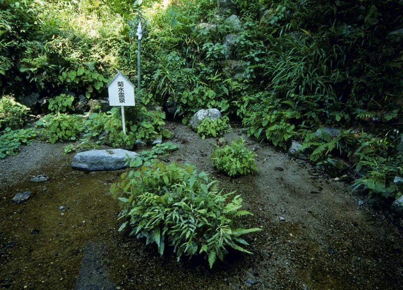 无人,横图,室外,白天,正面,旅游,度假,河流,石头,美景,森林,树林,水,植物,日本,亚洲,牌子,石子,河水,景观,水流,娱乐,路牌,告示,树,树木,绿色,小溪,自然,溪水,享受,休闲,景色,放松,生长,成长,自然风光,东亚,本州,本州岛,日本国,中部地方,岐阜,岐阜县,石块,岩石,彩图