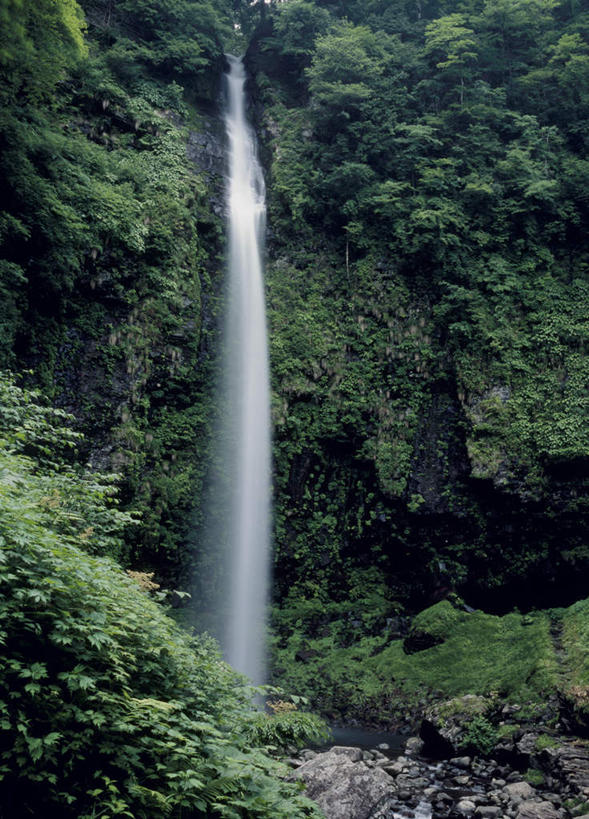 无人,竖图,室外,白天,仰视,旅游,度假,草地,草坪,美景,瀑布,森林,山,山脉,树林,水,植物,叶子,日本,亚洲,飞溅,溅,液体,景观,山峰,绿叶,山峦,娱乐,草,树,树木,绿色,自然,群山,享受,休闲,嫩叶,景色,放松,生长,成长,喷洒,自然风光,东亚,本州,本州岛,日本国,中部地方,岐阜,岐阜县,美浓,美浓国,叶,叶片,跌水,彩图,低角度拍摄