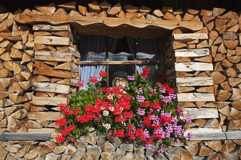 西方人,儿童,一个人,家,木屋,站,横图,室外,白天,仰视,纯洁,帽子,欧洲,欧洲人,仅一个男性,仅一个人,盛开,花蕾,注视,礼帽,住宅,花,花瓣,花朵,鲜花,小孩,红色,紫色,花苞,花蕊,观察,看,站着,仅一个小孩,可爱,童年,童趣,遮,遮掩,观看,察看,掩盖,遮挡,关注,童真,烂漫,无邪,遮盖,掩饰,天真,男孩,男人,男性,白种人,孩子,站立,彩图,低角度拍摄,全身,茅舍,茅屋,棚屋,小木屋,小屋,男生