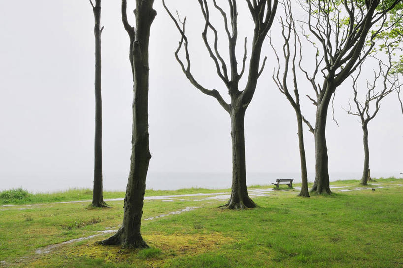 无人,横图,室外,白天,正面,旅游,度假,草地,草坪,湖,湖泊,美景,水,植物,椅子,德国,欧洲,木椅,湖面,景观,水流,水面,枝条,娱乐,草,树,树木,树枝,绿色,自然,湖水,享受,休闲,景色,放松,生长,成长,西欧,自然风光,山毛榉,德意志联邦共和国,麻栎金刚,山毛榉树,梅克伦堡.前波美拉尼亚州,虬枝,枝杈,梅克伦堡.前波美拉尼亚,彩图