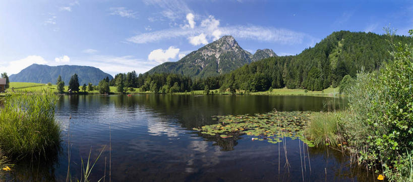 无人,横图,室外,白天,湖,湖泊,美景,森林,山,山脉,树林,水,植物