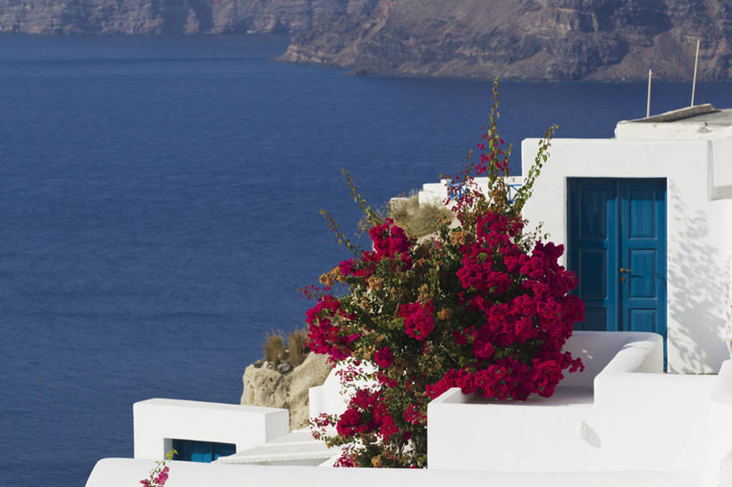 无人,家,横图,俯视,室外,白天,度假,海浪,海洋,美景,城市风光,城市,希腊,欧洲,盛开,房屋,屋子,景观,浪花,公寓,花蕾,娱乐,洋房,楼房,住宅,花,花瓣,花朵,鲜花,红色,海水,花苞,花蕊,享受,休闲,景色,放松,基克拉迪群岛,圣托里尼岛,海景,希腊共和国,基克拉泽斯群岛,大海,风浪,海,海水的波动,近岸浪,涌浪,彩图,高角度拍摄,房子,费拉