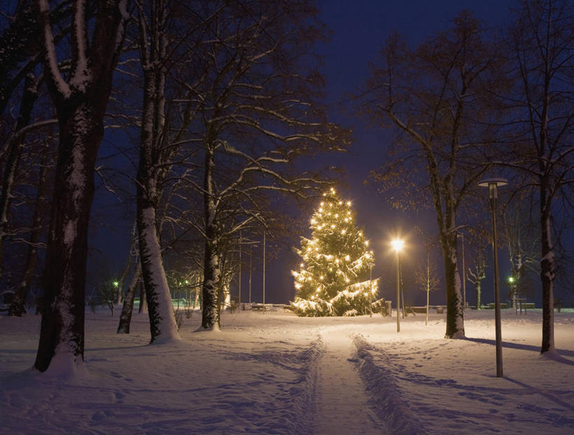 无人,横图,室外,夜晚,正面,旅游,度假,美景,雪,植物,大雪,道路,路,照明,奥地利,欧洲,圣诞节,阴影,节日,庆祝,光线,彩灯,影子,积雪,景观,雪景,冬季,冬天,小路,灯光,圣诞树,交通,文化,娱乐,灯,树,树木,绿色,自然,灯具,庆典,享受,休闲,景色,放松,寒冷,花灯,乡间小路,生长,成长,纪念,照亮,照明设备,自然风光,中欧,首府,萨尔斯堡,严寒,奥地利共和国,萨尔茨堡,萨尔茨堡州,萨尔茨卡默古特,彩图,蒙德湖