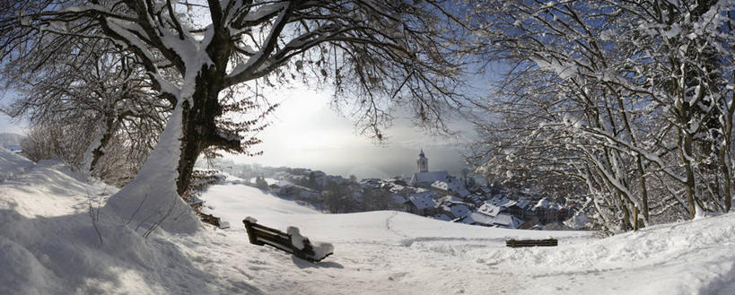 无人,横图,俯视,室外,白天,度假,美景,雪,植物,大雪,城市风光,城市,椅子,奥地利,欧洲,阴影,光线,影子,木椅,积雪,景观,雪景,冬季,冬天,娱乐,树,树木,蓝色,绿色,蓝天,天空,阳光,自然,天,享受,休闲,景色,放松,寒冷,生长,晴朗,成长,中欧,万里无云,首府,萨尔斯堡,严寒,奥地利共和国,萨尔茨堡,萨尔茨堡州,上奥地利,上奥地利州,晴空,晴空万里,彩图,高角度拍摄,格蒙登县,萨尔茨卡默古特地区圣沃尔夫冈,沃尔夫冈湖