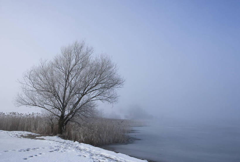 无人,横图,室外,白天,正面,旅游,度假,湖,湖泊,美景,水,雪,植物,大雪,奥地利,欧洲,阴影,枯萎,光线,影子,湖面,积雪,景观,水流,水面,雪景,冬季,冬天,枯草,娱乐,草,树,树木,黄色,蓝色,绿色,蓝天,天空,阳光,自然,湖水,天,享受,休闲,景色,放松,寒冷,生长,晴朗,成长,自然风光,中欧,万里无云,首府,萨尔斯堡,严寒,奥地利共和国,萨尔茨堡,萨尔茨堡州,萨尔茨卡默古特,晴空,晴空万里,彩图,伊尔湖