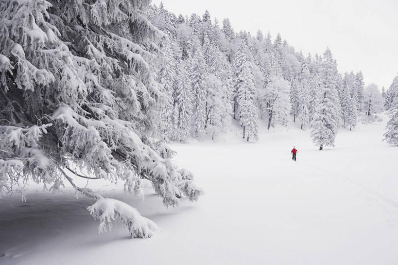 西方人,一个人,走,横图,室外,白天,正面,旅游,度假,美景,树林,雪,植物,大雪,德国,欧洲,欧洲人,仅一个男性,仅一个人,服装,积雪,景观,雪景,冬季,冬天,娱乐,树,树木,仅一个年轻男性,衣服,绿色,自然,享受,休闲,温暖,景色,放松,寒冷,服饰,生长,成长,羽绒服,保暖,御寒,西欧,自然风光,德意志联邦共和国,严寒,巴伐利亚,巴伐利亚州,拜恩州,拜恩自由州,冬装,男人,男性,年轻男性,白种人,步行,散步,走路,彩图,全身