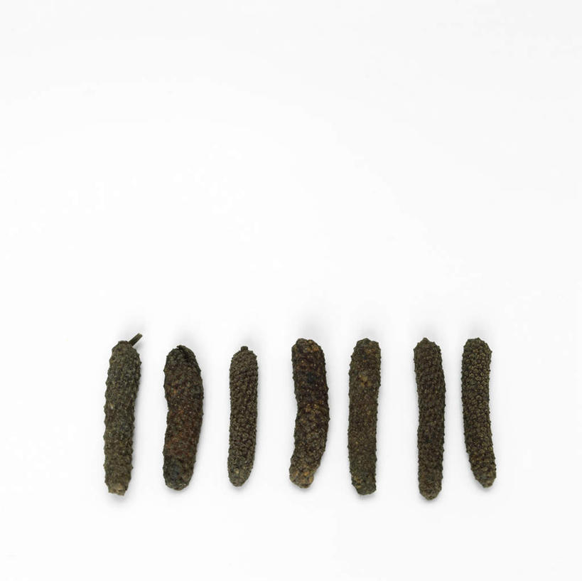 无人,横图,俯视,室内,特写,白天,白色背景,植物,一排,阴影,反射,影子,草药,药草,调味品,调味料,中药,排列,摄影,影棚,队列,药材,中草药,中药材,本草,荜拨,彩图,高角度拍摄,影棚拍摄,拍摄