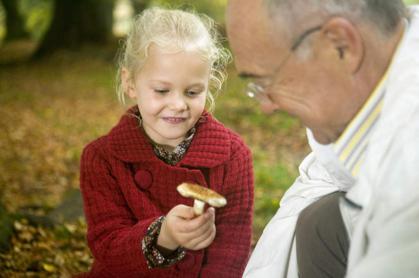 西方人,儿童,老年人,两个人,家庭,祖父,笑,微笑,露齿笑,横图,室外,白天,正面,纯洁,草地,树林,植物,蔬菜,叶子,欧洲,欧洲人,戴,服装,新鲜,眼镜,菌菇,蘑菇,食品,枯叶,落叶,拿,菌类,拿着,草,树,树木,食物,小孩,衣服,绿色,自然,温暖,温馨,一家人,食用菌,可爱,童年,童趣,服饰,有机食品,绿色食品,生长,爷爷,成长,祖孙,老花镜,和睦,衣着,穿着,童真,烂漫,无邪,外孙女,外公,外祖父,衣饰,远视眼镜,天真,老年男性,男人,男性,女孩,白种人,孩子,孙女,叶,叶片,半身,彩图,融洽,女生