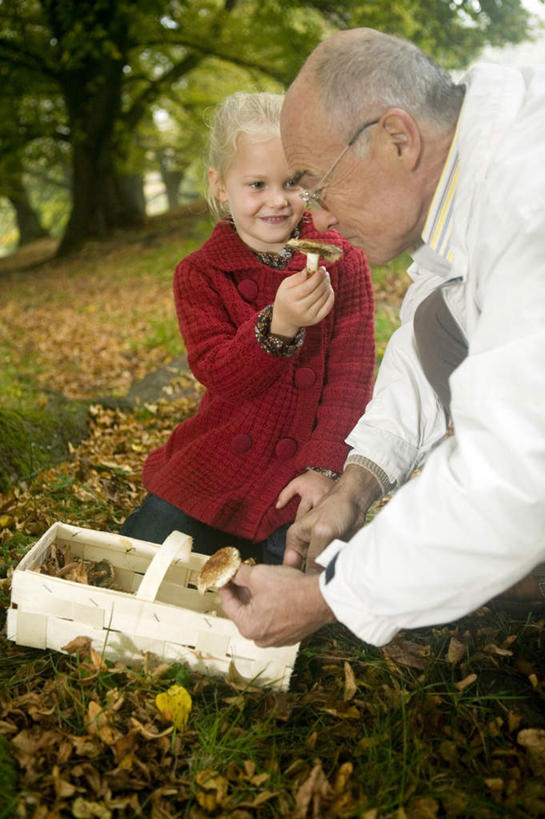 西方人,儿童,老年人,两个人,家庭,祖父,蹲,笑,交叉,微笑,露齿笑,竖图,室外,白天,正面,纯洁,草地,树林,植物,竹子,蔬菜,叶子,欧洲,欧洲人,戴,竹制,服装,新鲜,编织,篮子,眼镜,菌菇,蘑菇,食品,枯叶,落叶,拿,菌类,拿着,注视,闻,草,树,树木,食物,小孩,衣服,绿色,自然,竹篮,观察,看,温暖,温馨,一家人,食用菌,可爱,童年,童趣,服饰,有机食品,绿色食品,生长,爷爷,成长,观看,祖孙,老花镜,竹条,交织,和睦,察看,嗅,竹制品,衣着,穿着,关注,童真,烂漫,无邪,外孙女,外公,外祖父,衣饰,穿插,远视眼镜,天真,老年男性,男人,男性,女孩,白种人,孩子,孙女,叶,叶片,蹲着,半身,彩图,融洽,女生