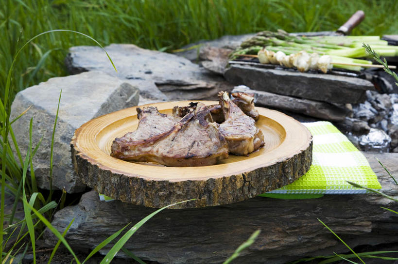 无人,横图,俯视,室外,特写,白天,烧烤,草地,草坪,石头,植物,金属制品,朦胧,模糊,金属,工具,石子,肉,案板,刀具,烤架,烤肉,猪肉,肉类,砧板,草,绿色,刀,铁架,菜刀,肉食,沉积岩,豚肉,切菜刀,水成岩,石块,岩石,彩图,高角度拍摄