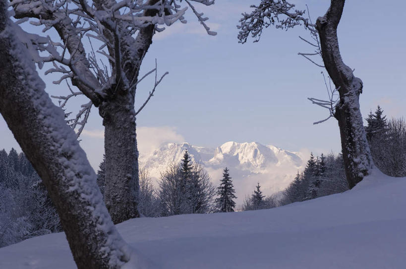 无人,横图,室外,白天,正面,旅游,度假,石头,美景,森林,山,树林,雪,雪山,植物,大雪,奥地利,欧洲,阴影,光线,石子,影子,冰,积雪,景观,山顶,山峰,雪景,冬季,冬天,山峦,娱乐,树,树木,蓝色,绿色,蓝天,天空,阳光,自然,天,享受,休闲,景色,放松,寒冷,生长,晴朗,成长,冰冷,自然风光,中欧,沉积岩,万里无云,首府,萨尔斯堡,严寒,奥地利共和国,冰凉,酷寒,凛冽,凛凛,极冷,萨尔茨堡,萨尔茨堡州,颠峰,极峰,水成岩,石块,岩石,晴空,晴空万里,彩图