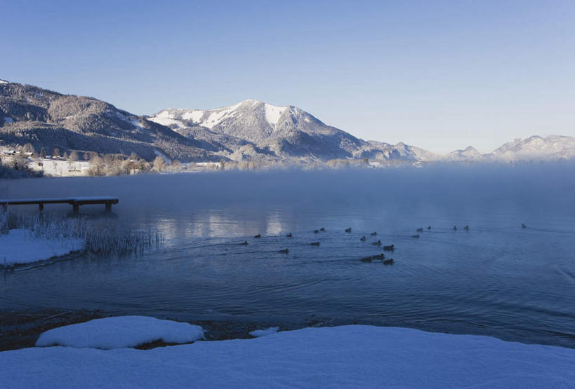 无人,横图,室外,白天,正面,旅游,度假,湖,湖泊,美景,山,水,雪,雪山,大雪,鸟,奥地利,欧洲,一群,许多,阴影,波纹,光线,鸟类,鸭,影子,冰,湖面,积雪,景观,山峰,水流,水面,雪景,冬季,冬天,涟漪,山峦,很多,娱乐,蓝色,倒影,蓝天,水纹,天空,阳光,自然,动物,波浪,湖水,天,享受,休闲,景色,放松,寒冷,晴朗,冰冷,倒映,自然风光,中欧,万里无云,水晕,严寒,奥地利共和国,冰凉,酷寒,凛冽,凛凛,极冷,反照,北美黑鸭,黑鸭,绿嘴黑鸭,晴空,晴空万里,彩图,全身