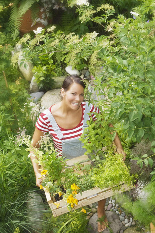 西方人,一个人,站,竖图,俯视,室外,白天,花海,花圃,叶子,欧洲,欧洲人,仅一个年轻女性,仅一个女性,仅一个人,握,服装,盛开,木质,筐子,拿,花蕾,拿着,注视,花,花瓣,花朵,鲜花,衣服,绿色,花丛,花束,花田,花苞,花蕊,观察,看,站着,鹅卵石,握着,服饰,观看,察看,衣着,穿着,关注,衣饰,年轻女性,女人,女性,白种人,站立,半身,彩图,高角度拍摄