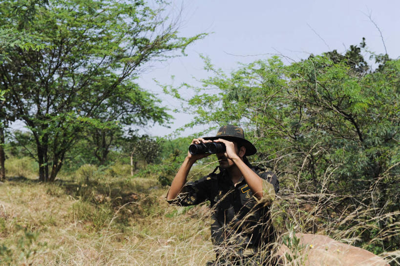 一个人,站,横图,室外,白天,正面,仪器,科技,树林,植物,帽子,亚洲,仅一个男性,仅一个人,眺望,握,阴影,远眺,检查,研究,反射,分析,光线,科学,望远镜,影子,远望,注视,树,树木,仅一个年轻男性,一个,蓝色,绿色,蓝天,天空,阳光,自然,遮阳帽,天,观察,看,站着,清晰,探索,握着,生长,放大,晴朗,单个,成长,观看,仔细,科研,遥望,察看,科学技术,瞭望,聚焦,关注,迷彩服,军服,远视镜,瞭望镜,万里无云,光学,清楚,双筒镜,双筒望远镜,了望,远瞩,伪装服,野战服,作战服,男人,男性,年轻男性,亚洲人,印度人,晴空,晴空万里,站立,半身,彩图,光学仪器,千里镜