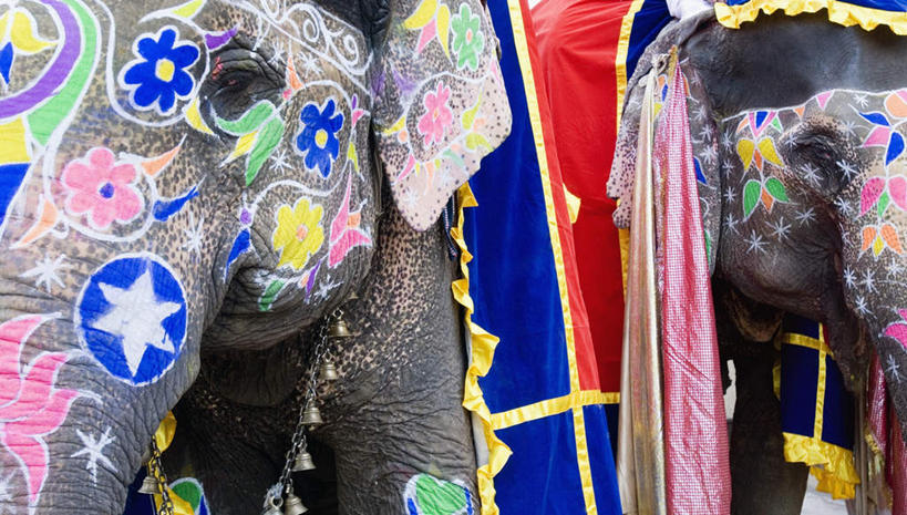 头,无人,站,横图,彩色,室外,特写,白天,正面,抽象,度假,绘画,美景,城市风光,城市,大象,野生动物,纺织品,印度,亚洲,两头,花纹,艺术,装饰,彩绘,毛毯,毯子,图案,手工制品,景观,艺术品,古典,图像,注视,文化,娱乐,动物,工艺品,观察,看,品味,站着,享受,休闲,概念,景色,放松,可爱,活泼,观看,华丽,修饰,美术,点缀,察看,高雅,关注,南亚,凶猛,印度共和国,美学,衬托,美观,雅致,雅观,构图,式样,图文,头部,站立,半身,彩图,涂鸦