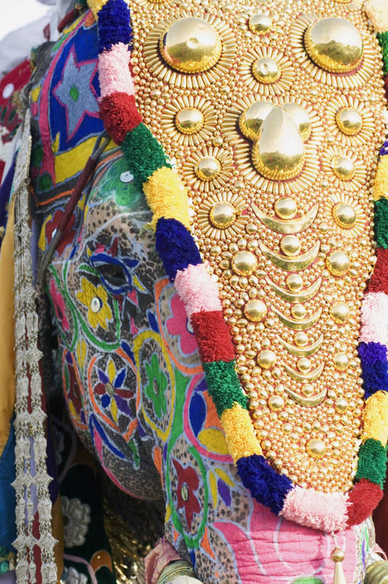 头,无人,竖图,彩色,室外,特写,白天,正面,抽象,绘画,大象,野生动物,纺织品,花纹,艺术,装饰,彩绘,毛毯,毯子,图案,手工制品,艺术品,古典,图像,文化,动物,工艺品,品味,概念,可爱,活泼,华丽,修饰,美术,点缀,高雅,凶猛,美学,衬托,美观,雅致,雅观,构图,式样,图文,头部,半身,彩图,涂鸦