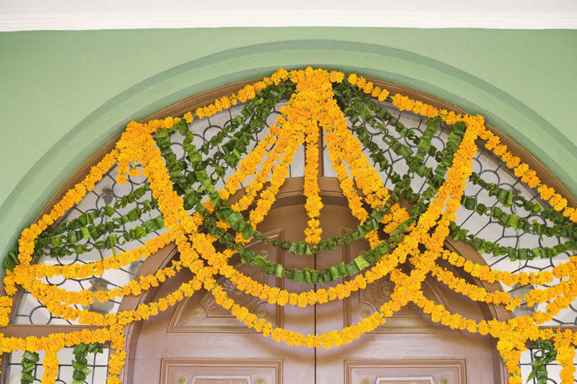 无人,横图,室外,特写,白天,仰视,度假,美景,门,城市风光,城市,叶子,装饰,盛开,墙,景观,绿叶,花蕾,娱乐,墙壁,墙面,花,花瓣,花朵,鲜花,绿色,门框,花苞,花蕊,享受,休闲,嫩叶,景色,放松,叶,叶片,彩图,低角度拍摄