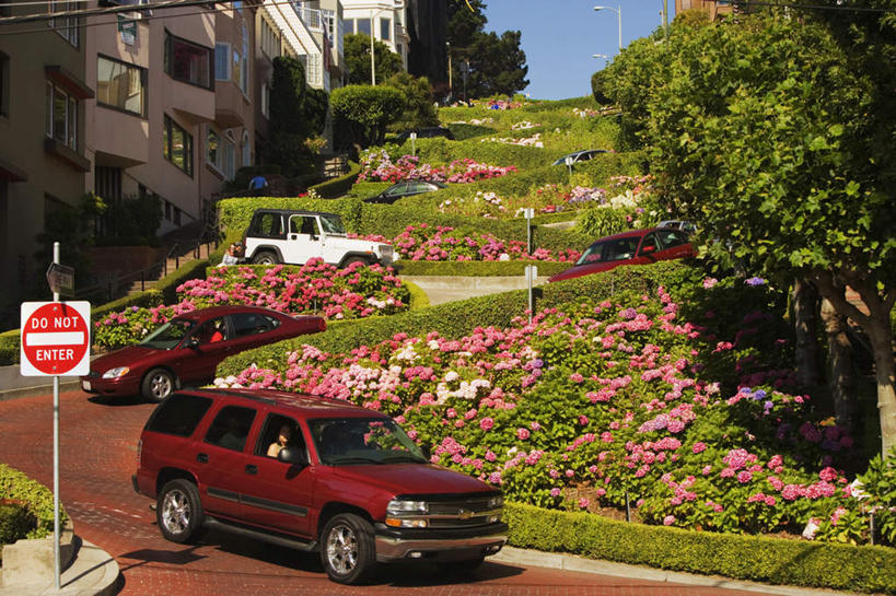 无人,家,横图,室外,白天,正面,度假,花海,花圃,美景,植物,城市风光,城市,道路,路,指示牌,公路,汽车,叶子,美国,盛开,标志,文字,房屋,屋子,景观,交通,花蕾,娱乐,标识,楼房,住宅,车,花,花瓣,花朵,鲜花,树,树木,绿色,自然,交通工具,轿车,花丛,花束,花田,花苞,花蕊,享受,休闲,景色,放松,生长,成长,北美,北美洲,加利福尼亚,美洲,旧金山,加州,加利福尼亚州,圣弗朗西斯科,三藩市,金州,黄金州,北亚美利加洲,亚美利加洲,马路,彩图,房子,九曲花街,伦巴底街