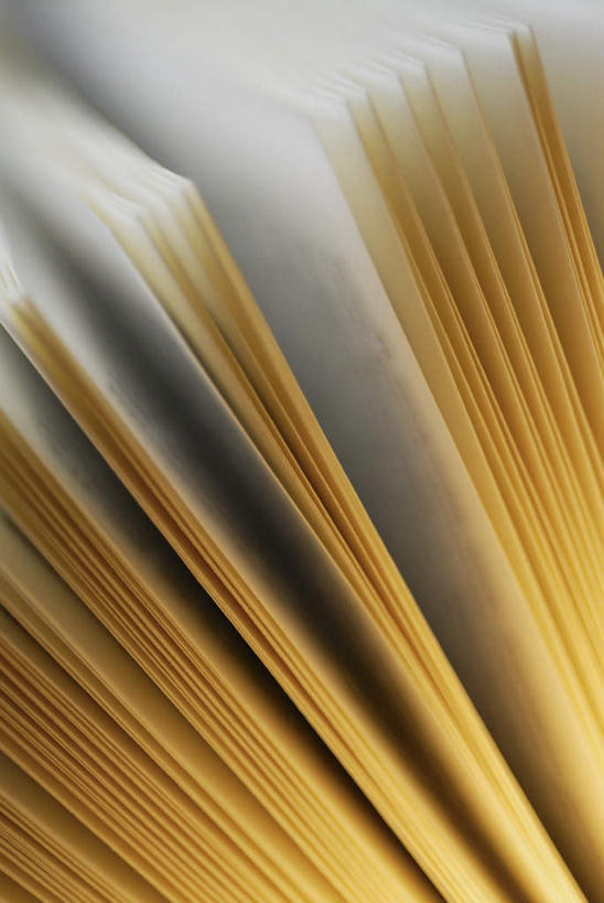 无人,竖图,俯视,室内,特写,白天,静物,书籍,一本,阴影,朦胧,模糊,反射,影子,打开,翻开,掀开,书,图书,彩图,高角度拍摄