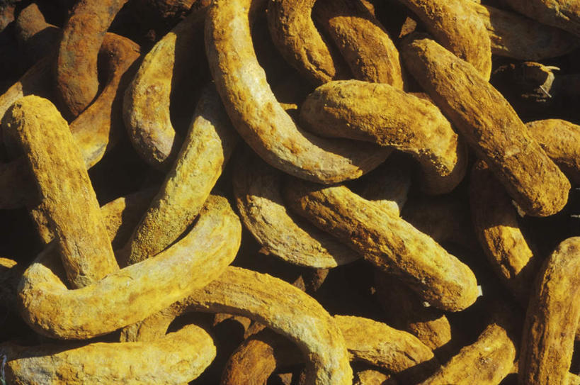 无人,横图,室外,特写,白天,正面,金属制品,阴影,环绕,生锈,缠绕,光线,纹路,金属,纹理,影子,阳光,铁链,腐蚀,侵蚀,纠缠,肌理,腐化,锈迹斑斑,彩图