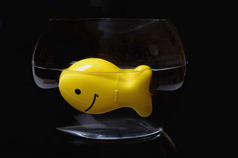 无人,笑,微笑,横图,室内,特写,白天,正面,游戏,水,玩具,玻璃,一条,阴影,黑色背景,反射,鱼,液体,影子,塑胶,水滴,鱼缸,玩,娱乐,鱼类,玻璃制品,一个,休闲,益智,摄影,塑胶制品,影棚,单个,活动,发泄,消遣,智力,宣泄,玩耍,嬉戏,彩图,影棚拍摄,拍摄