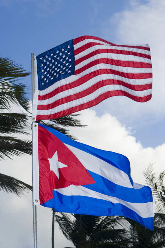 无人,竖图,室外,特写,白天,仰视,植物,棕榈树,旗帜,国旗,叶子,两面,阴影,条纹,飘扬,光线,影子,云,星星,云朵,绿叶,云彩,星条旗,树,树木,红色,蓝色,绿色,白云,蓝天,天空,阳光,自然,天,星形,嫩叶,美国国旗,生长,晴朗,成长,飘逸,飞扬,五角形,棕榈叶,叶,叶片,旗,晴空,五角星,彩图,低角度拍摄,美利坚合众国国旗