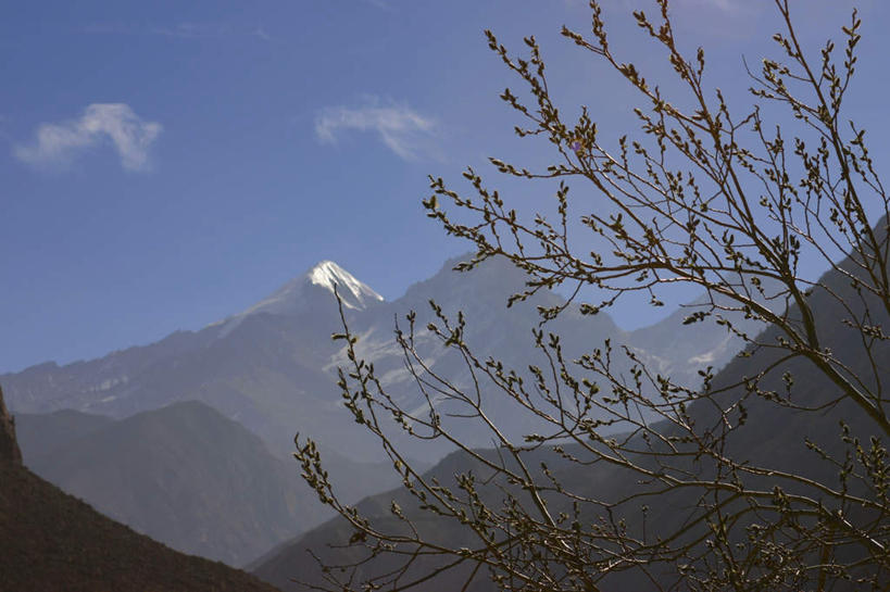 无人,横图,室外,白天,仰视,旅游,度假,美景,山,山脉,雪,植物,大雪,尼泊尔,亚洲,阴影,光线,影子,积雪,景观,山峰,雪景,云,云朵,冬季,冬天,枝条,山峦,云彩,娱乐,树,树木,树枝,蓝色,白云,蓝天,天空,阳光,自然,群山,天,享受,休闲,景色,放松,寒冷,晴朗,自然风光,南亚,喜马拉雅山脉,安纳普尔纳峰,尼泊尔王国,喜马拉雅山,严寒,喜马拉雅,虬枝,枝杈,库塘峰,晴空,彩图,低角度拍摄