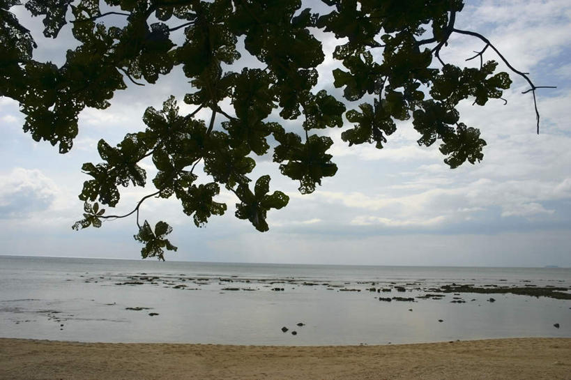 无人,横图,室外,白天,仰视,旅游,度假,海浪,海洋,美景,沙滩,植物,叶子,泰国,亚洲,阴影,光线,沙子,影子,海岸,景观,浪花,水平线,云,云朵,辽阔,绿叶,海平线,沙地,云彩,娱乐,树,树木,蓝色,绿色,白云,蓝天,天空,阳光,自然,海水,天,享受,休闲,广阔,嫩叶,景色,放松,东南亚,生长,晴朗,成长,一望无际,自然风光,海景,泰王国,无边无际,一马平川,甲米,甲米府,叶,叶片,大海,风浪,海,海水的波动,海滩,近岸浪,涌浪,晴空,彩图,低角度拍摄,兰达岛,水天相接,水天一线