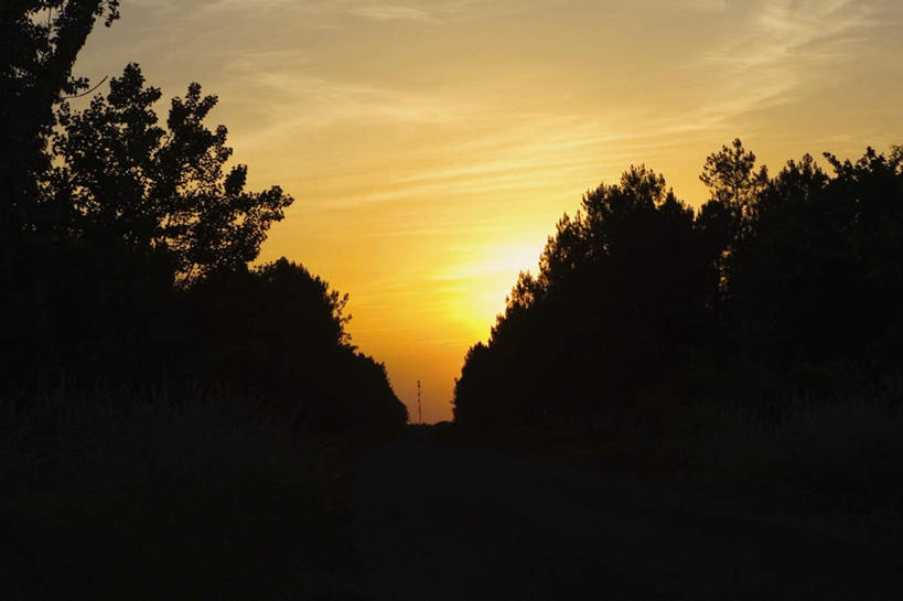 无人,横图,室外,白天,正面,旅游,度假,美景,日落,树林,植物,法国,欧洲,景观,晚霞,霞光,落日,背光,娱乐,树,树木,绿色,自然,黄昏,享受,休闲,景色,彩霞,放松,生长,成长,自然风光,逆光,法兰西共和国,首府,波尔多,阿基坦,法兰西第五共和国,夕照,亚魁当,波尔多市,阿基坦大区,夕阳,彩图,斜阳