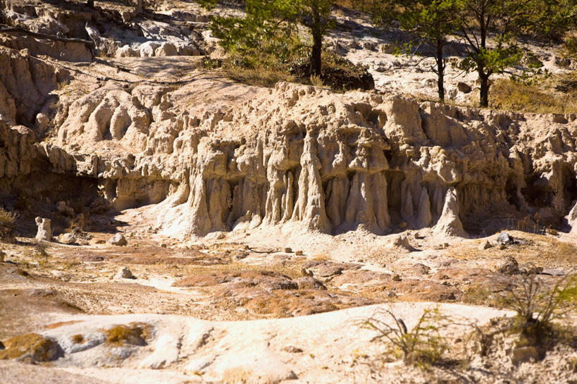 无人,横图,室外,白天,正面,旅游,度假,石头,美景,山,山脉,植物,墨西哥,石子,景观,山峰,山峦,娱乐,树,树木,绿色,自然,群山,享受,休闲,景色,放松,生长,成长,北美,北美洲,自然风光,美洲,沉积岩,萨卡特卡斯州,萨卡特卡斯,北亚美利加洲,亚美利加洲,墨西哥合众国,仙人掌王国,水成岩,石块,岩石,彩图