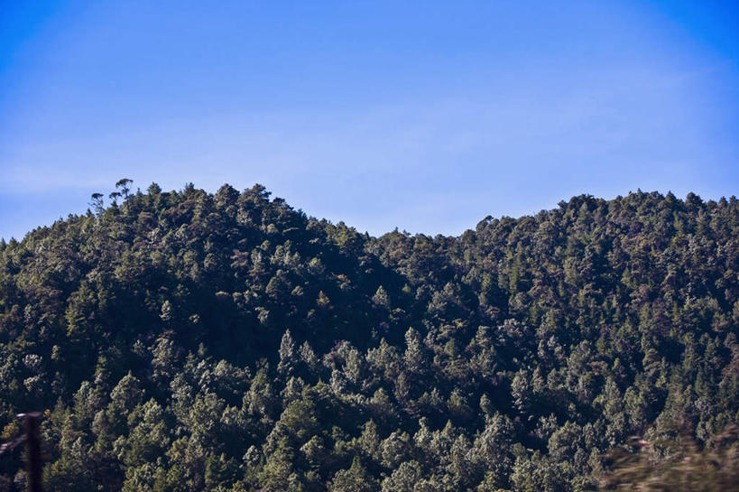 无人,横图,室外,白天,正面,旅游,度假,石头,美景,森林,山,山脉,树林,植物,墨西哥,阴影,光线,石子,影子,景观,山顶,山峰,山峦,娱乐,树,树木,蓝色,绿色,蓝天,天空,阳光,自然,群山,天,享受,休闲,景色,放松,生长,晴朗,成长,北美,北美洲,自然风光,美洲,沉积岩,万里无云,恰帕斯,恰帕斯州,北亚美利加洲,亚美利加洲,墨西哥合众国,仙人掌王国,颠峰,极峰,水成岩,圣克里斯托瓦尔.德拉斯卡萨斯,石块,岩石,晴空,晴空万里,彩图